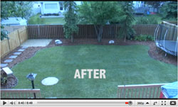 Backyard Makeover Thumb